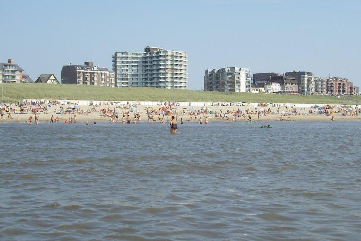 Egmond aan Zee website